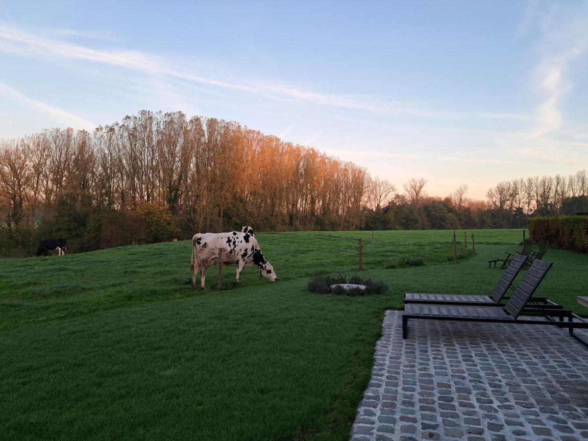 Huis Potaerde, Luxe Villa - Landhuis Nabij Brussel Merchtem 외부 사진